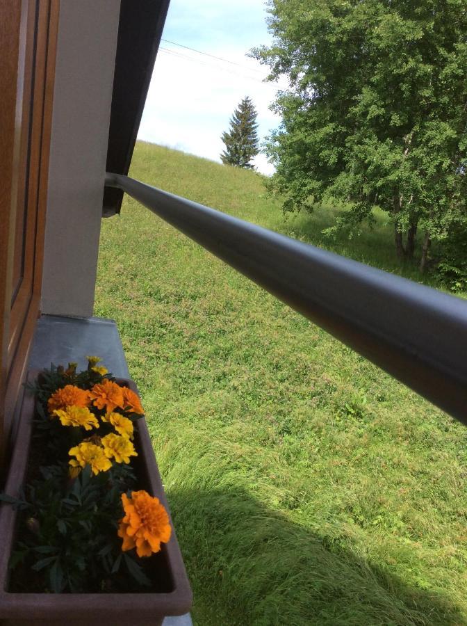 Apartman Odolov Jestrebi Hory Male Svatonovice المظهر الخارجي الصورة